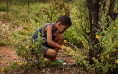 No Sertão, enterrar umbigo dos recém-nascidos é plantar esperança