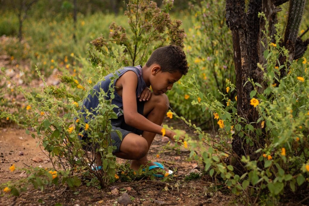 No Sertão, enterrar umbigo dos recém-nascidos é plantar esperança